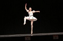 27 -Harlequinade